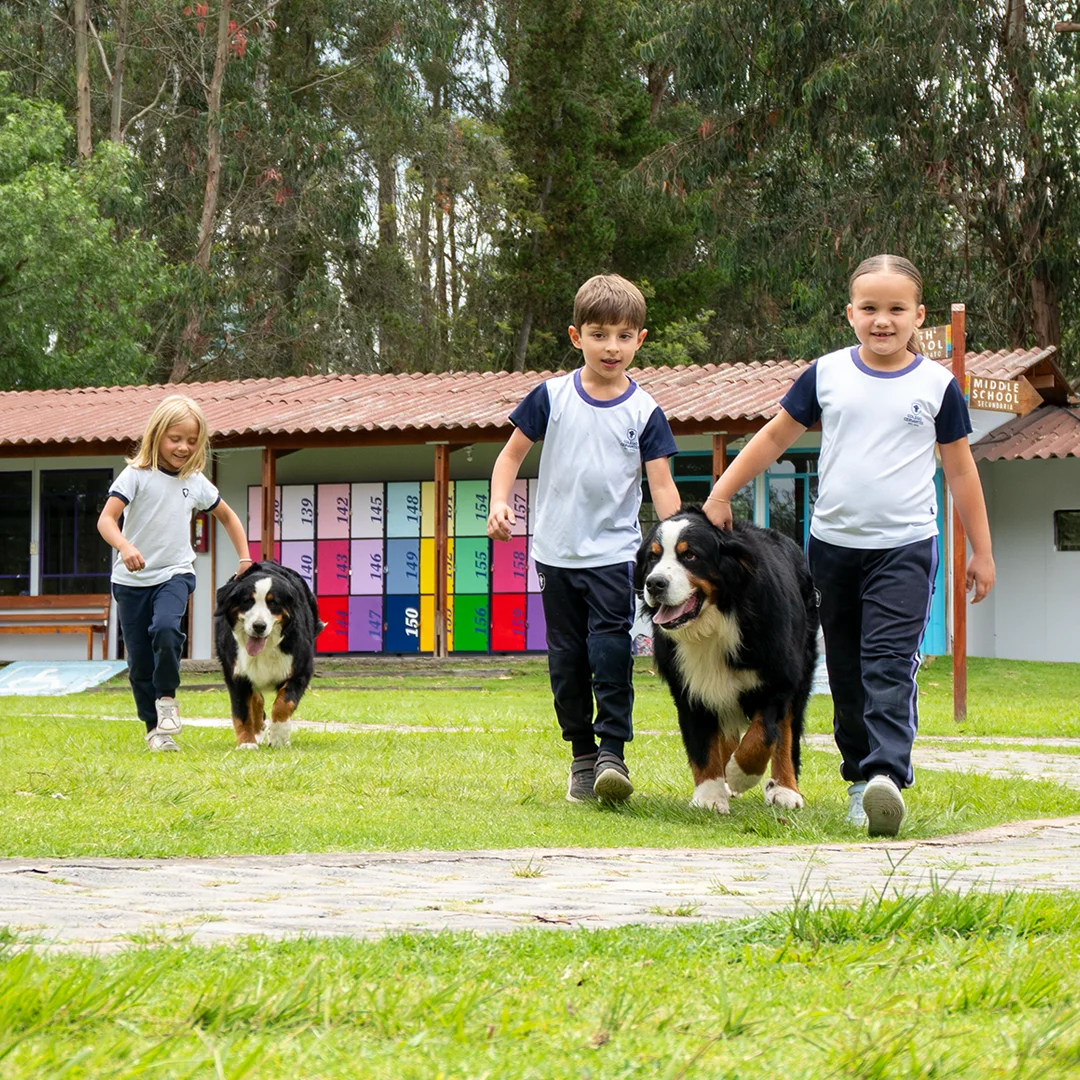 Descubre la excelencia académica para tus hijos en Colegio Cervantes